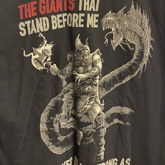 Other - Mens graphic t shirt. XL